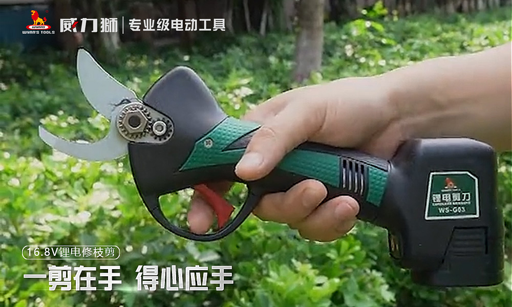 產品名稱
